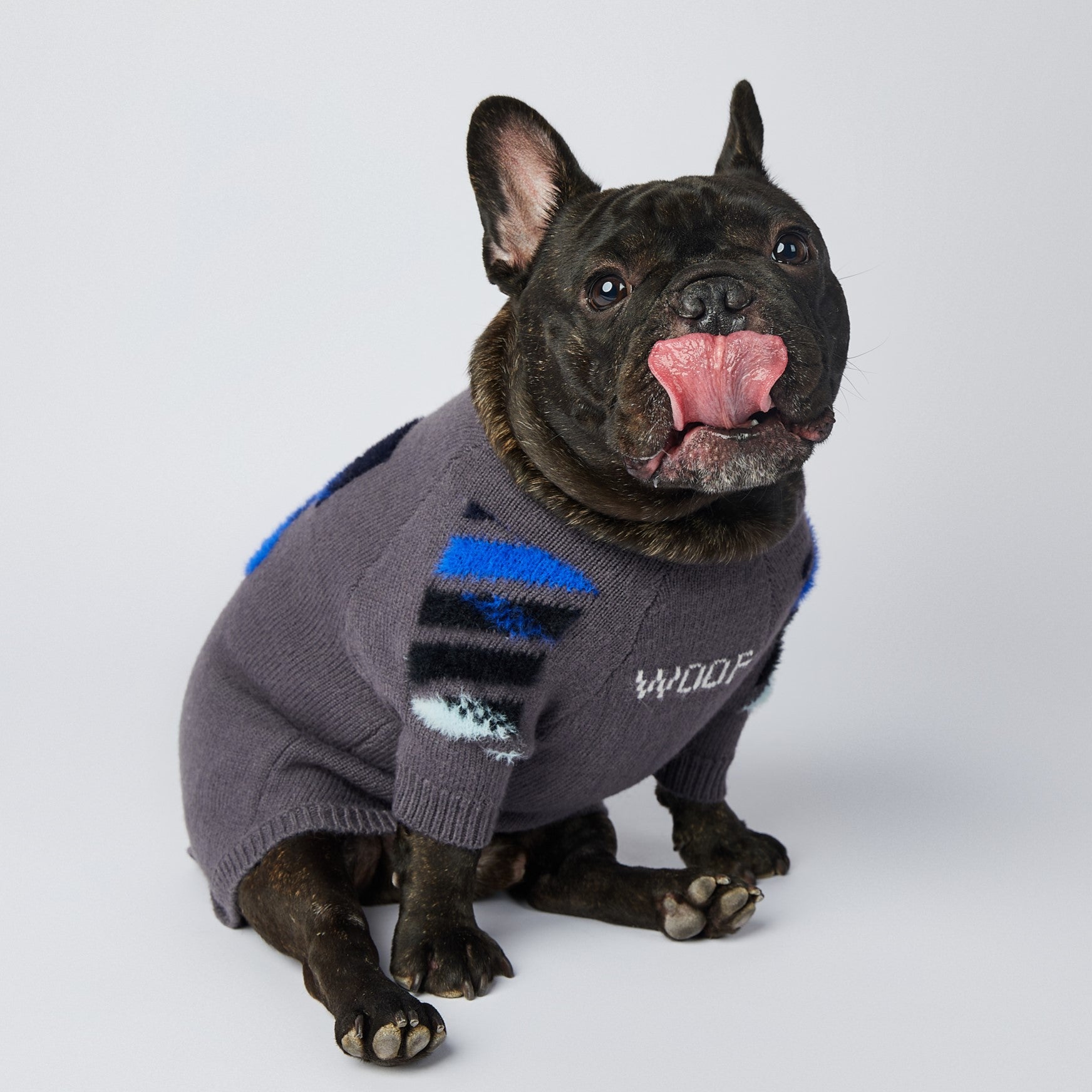 Dog Grey Woof Jumper - Frenchiely