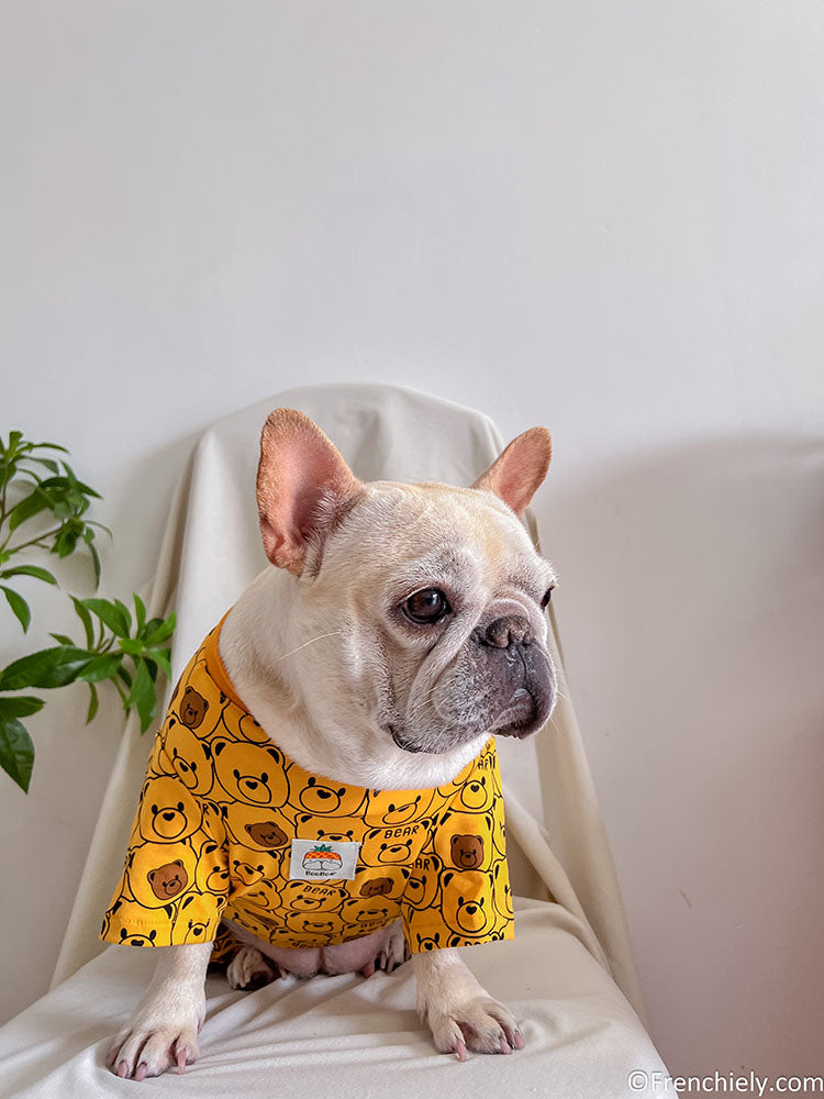 dog yellow bear onesie pajamas for medium dogs by frenchiely