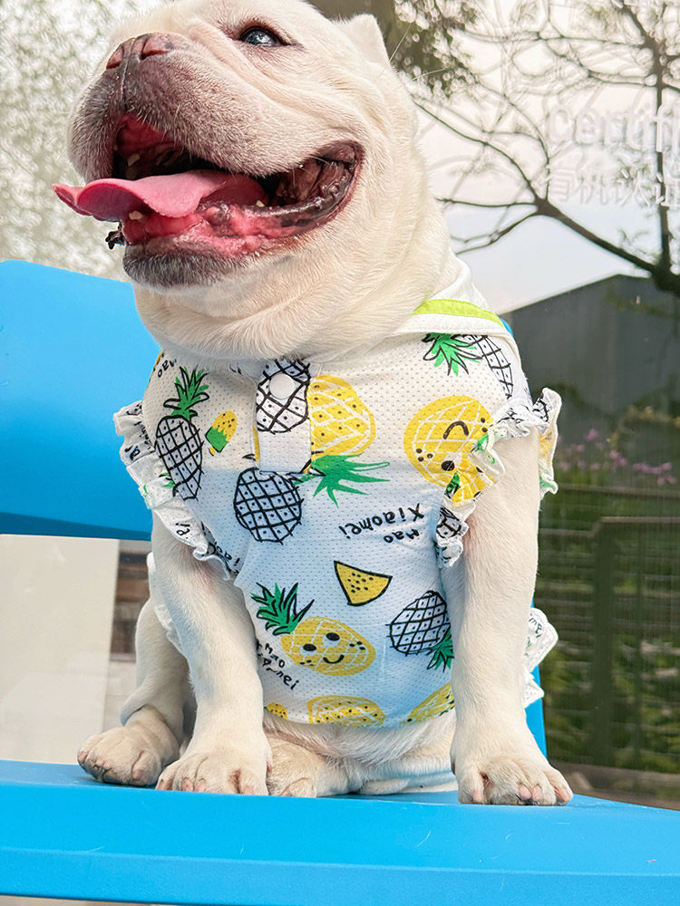Dog Summer Mesh Pineapple Shirt
