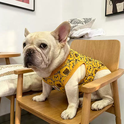Dog Cotton Bear Shirt dogyellowbearshirtformediumdogbreeds_1