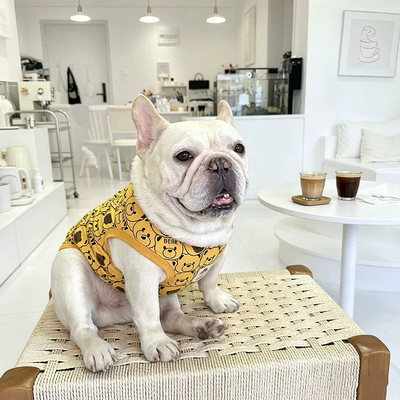 Dog Cotton Bear Shirt dogyellowbearshirtformediumdogbreeds_2
