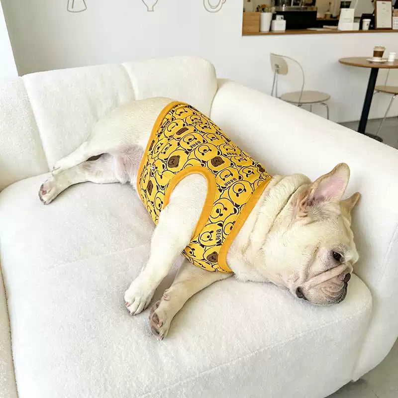 Dog Cotton Bear Shirt dogyellowbearshirtformediumdogbreeds_4