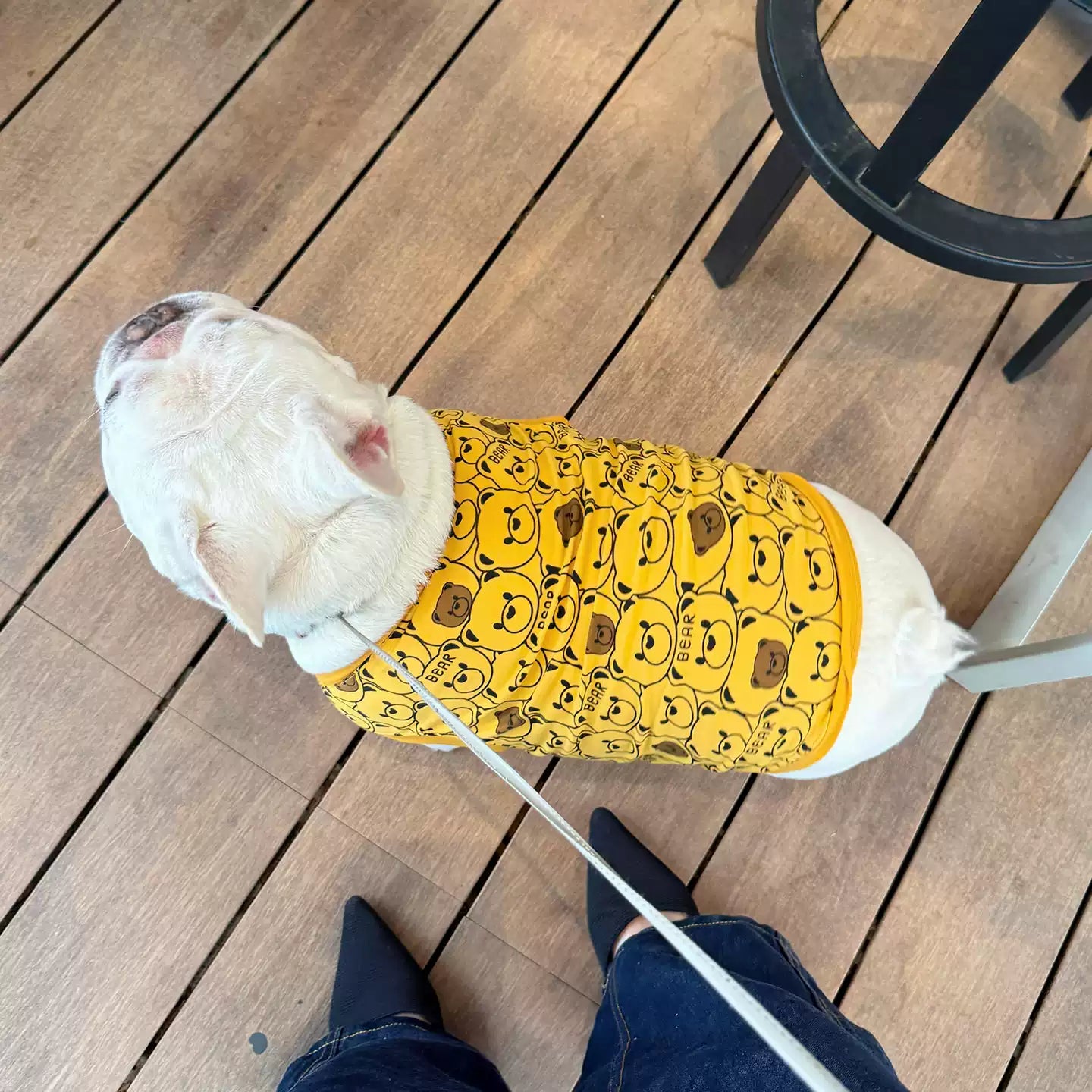 Dog Cotton Bear Shirt dogyellowbearsleevelessshirtvestforfrenchbulldogsbyFrenchiely_2
