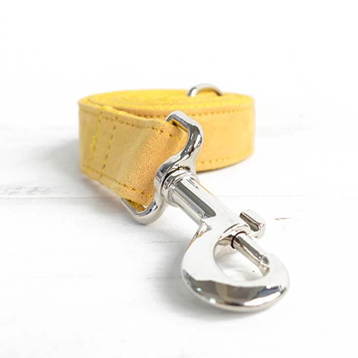 Dog Yellow Collar Leash Set - Frenchiely