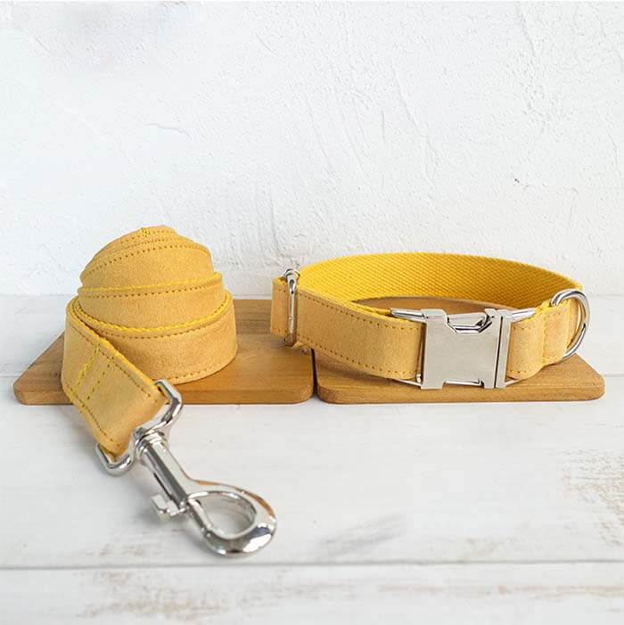 Dog Yellow Collar Leash Set - Frenchiely