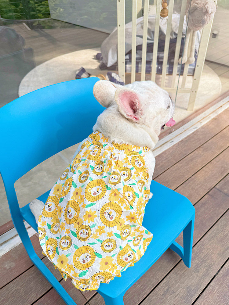 Dog Yellow Daisy Dress dogyellowdaisydressformediumfrenchbulldogs_18