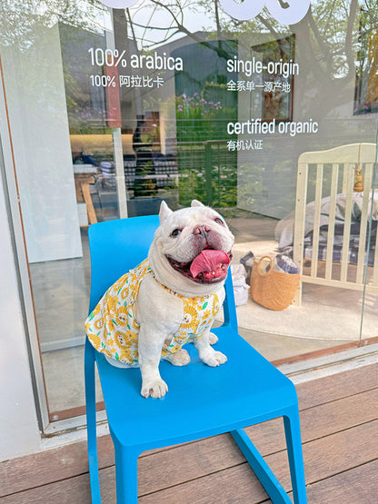 Dog Yellow Daisy Dress dogyellowdaisydressformediumfrenchbulldogs_3