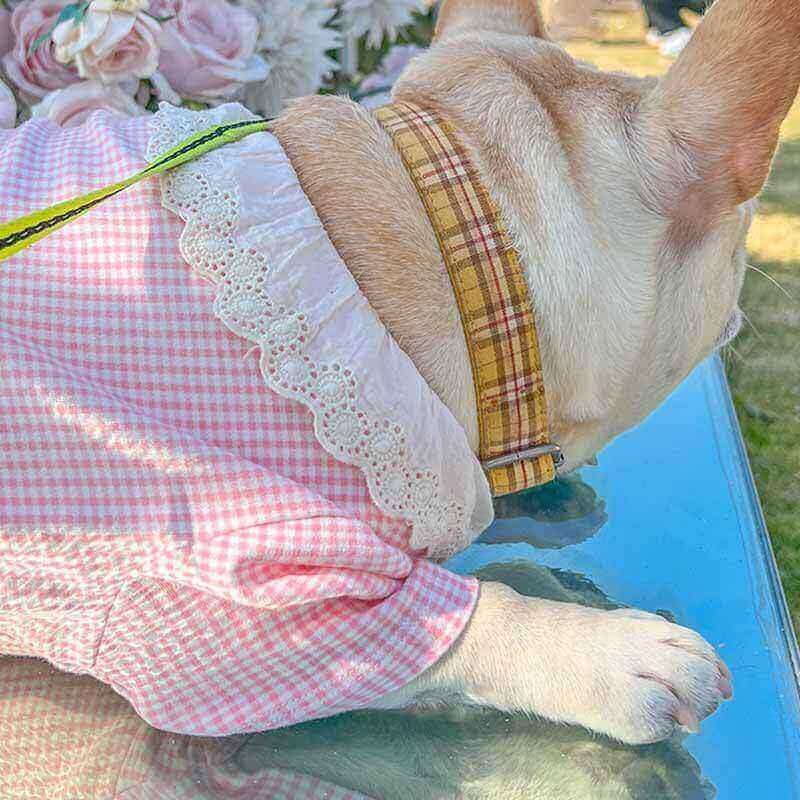 Dog Yellow Plaid Leash Set - Frenchiely
