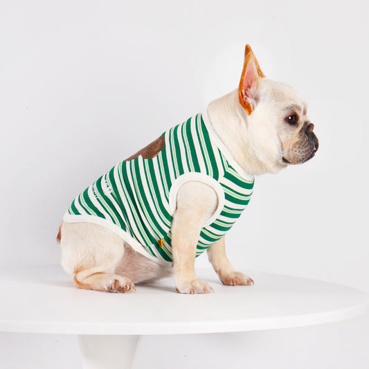 Dog Cartoon Green Stripe Shirt - Frenchiely