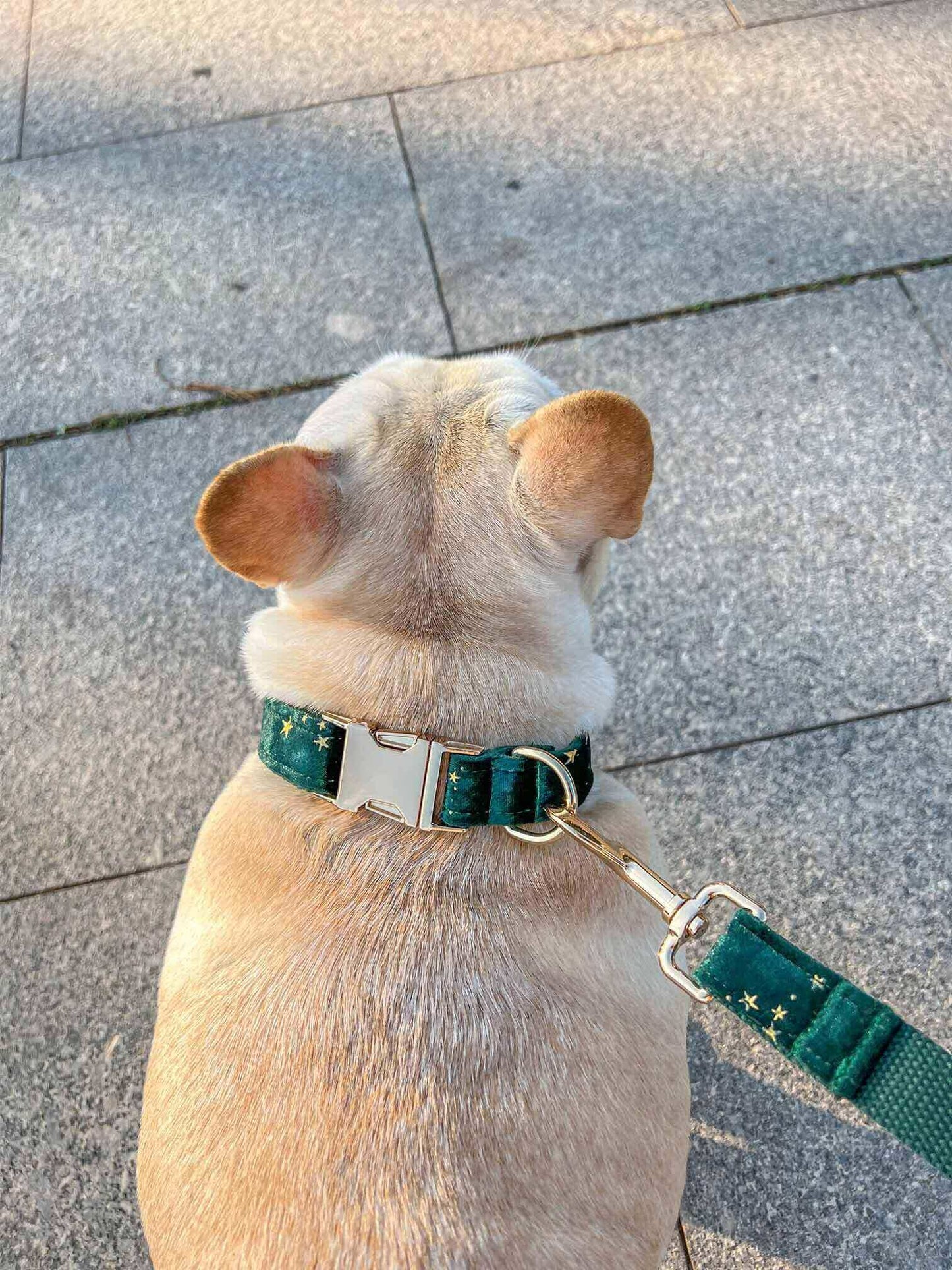 Dog Green Star Leash Set - Frenchiely