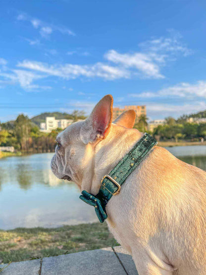 Dog Green Velvet Star Collar - Frenchiely