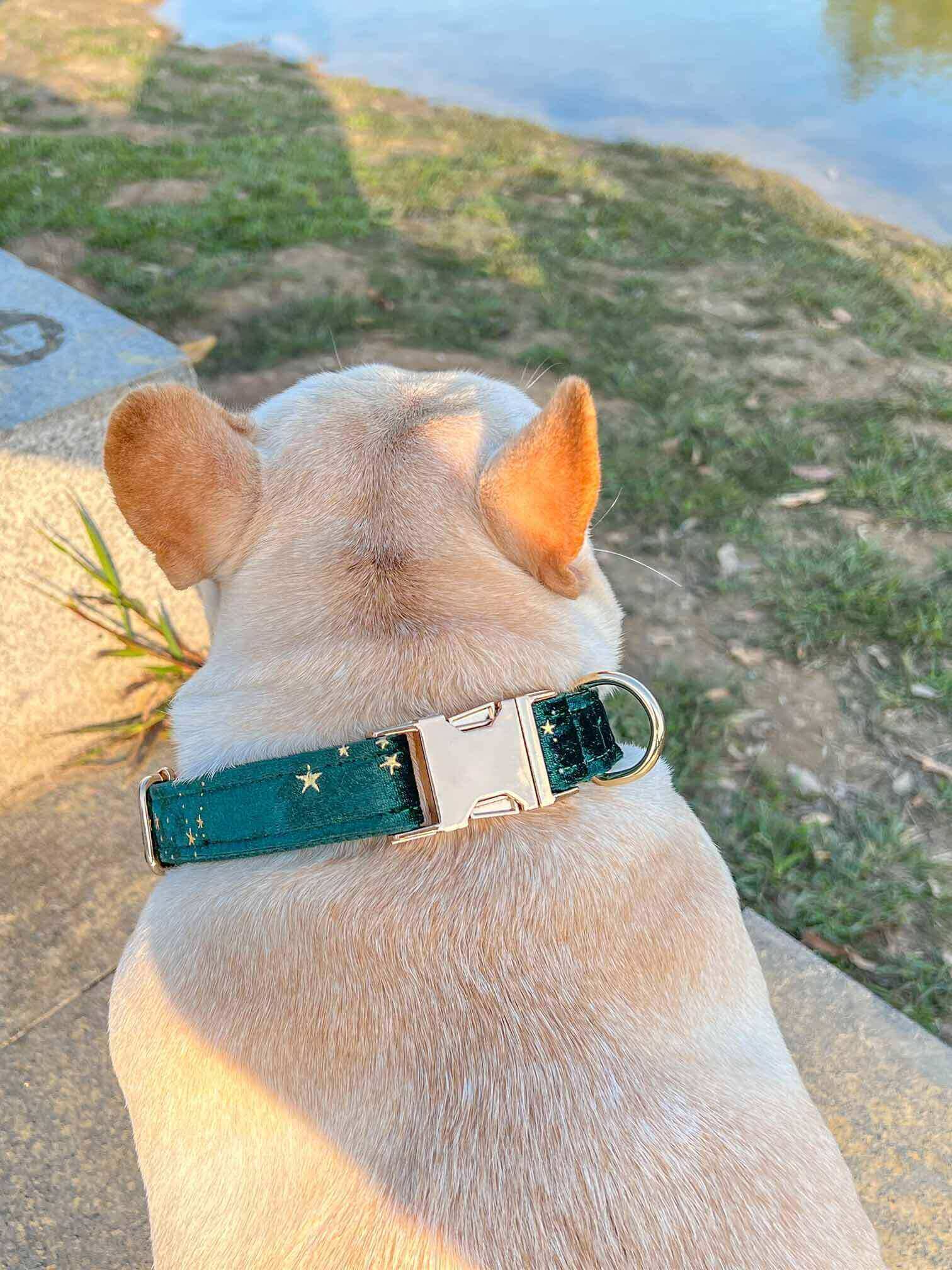 Dog Green Velvet Star Collar - Frenchiely