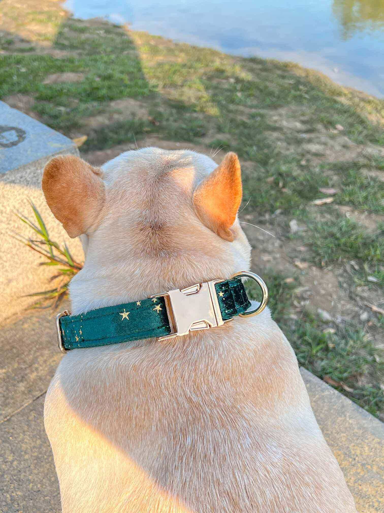 Dog Green Star Leash Set - Frenchiely