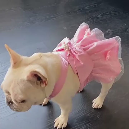 Dog Pink Wedding Dress