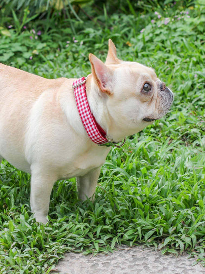 Dog Red Plaid Leash Set - Frenchiely