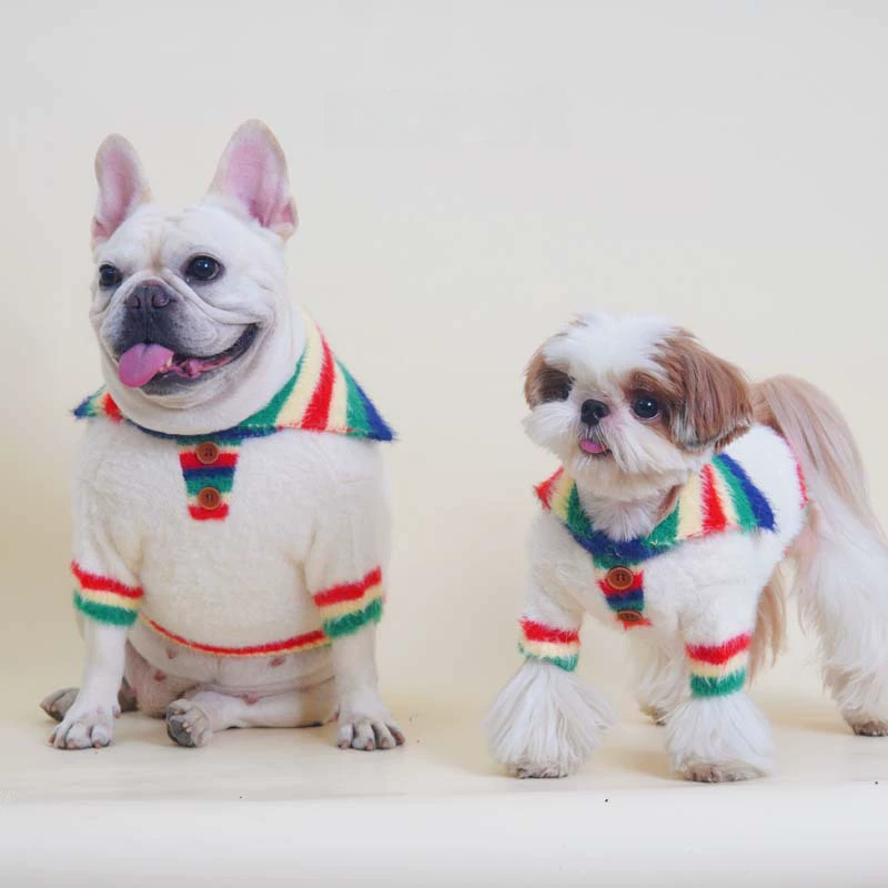 Rainbow Sweater whitesweaterwithrainbowcollarformeddiumdogs_1