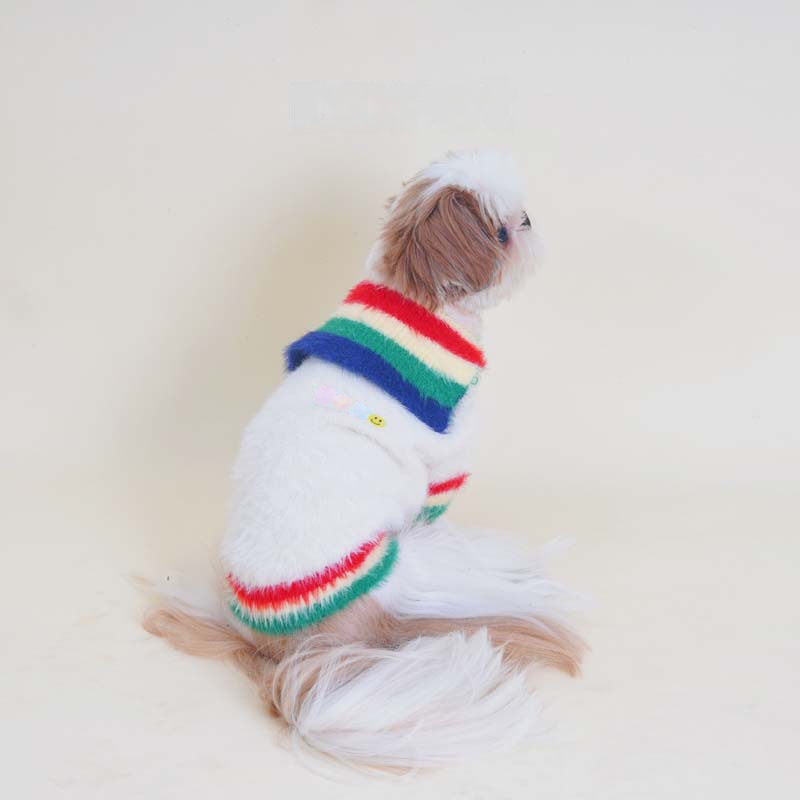 Rainbow Sweater whitesweaterwithrainbowcollarformeddiumdogs_2