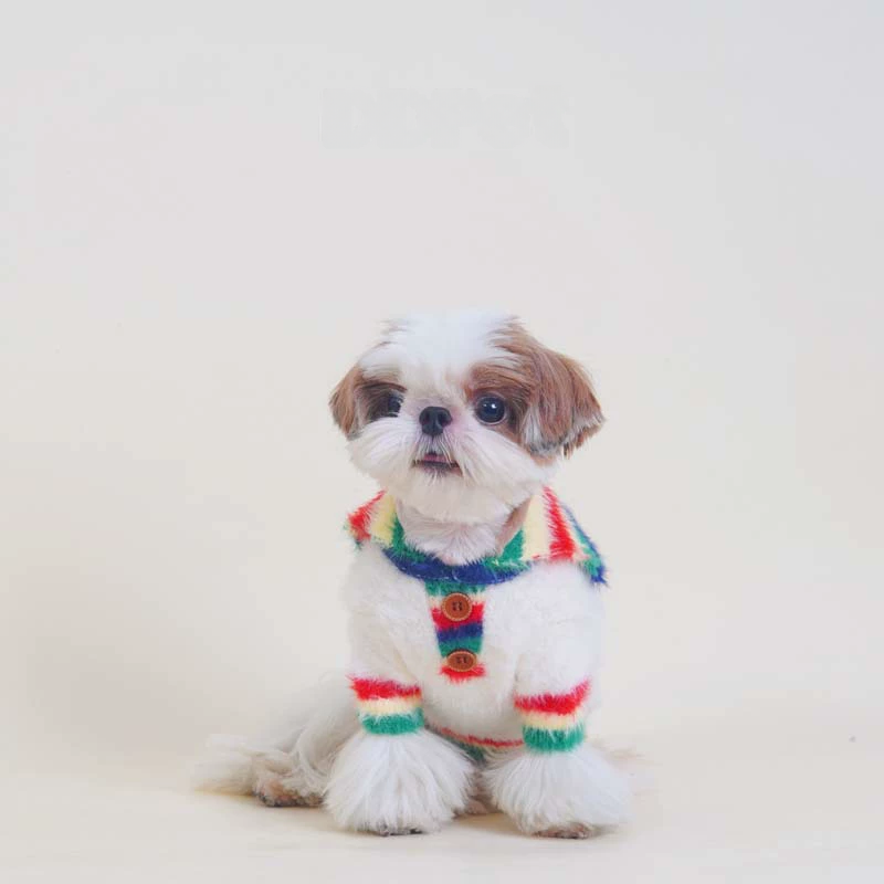 Rainbow Sweater whitesweaterwithrainbowcollarformeddiumdogs_3