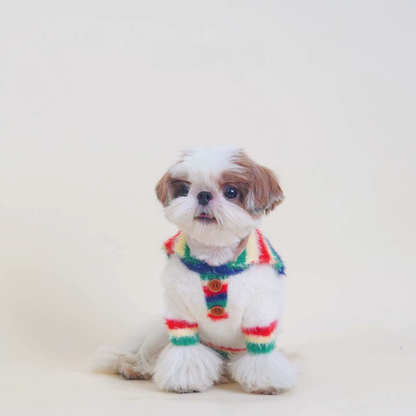 Rainbow Sweater whitesweaterwithrainbowcollarformeddiumdogs_3