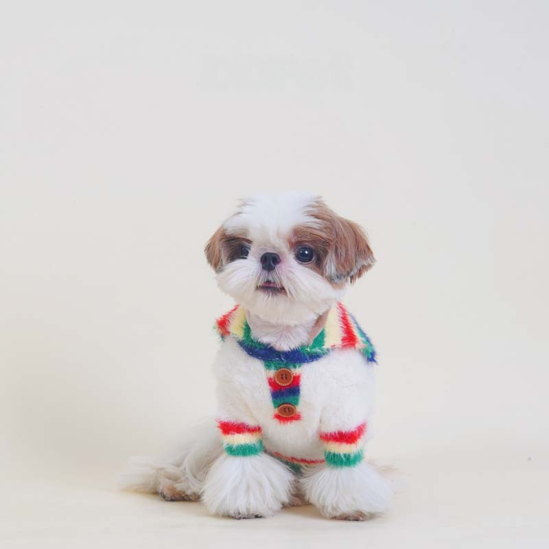 Rainbow Sweater whitesweaterwithrainbowcollarformeddiumdogs_4