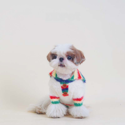 Rainbow Sweater whitesweaterwithrainbowcollarformeddiumdogs_4