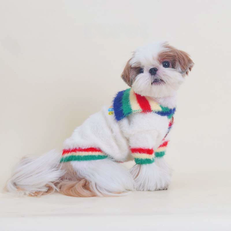 Rainbow Sweater whitesweaterwithrainbowcollarformeddiumdogs_5