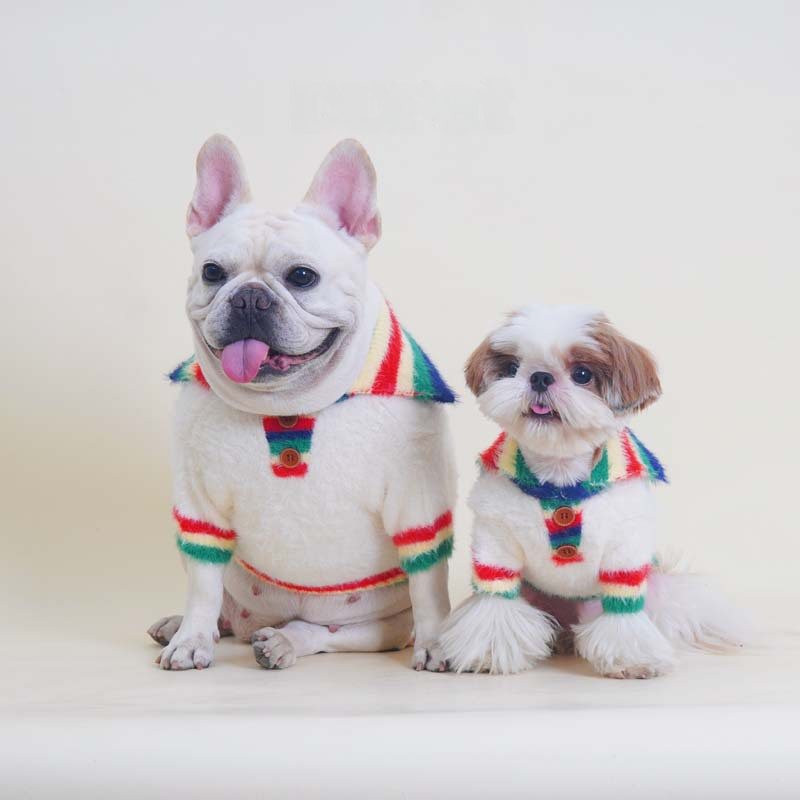 Rainbow Sweater whitesweaterwithrainbowcollarformeddiumdogs_6