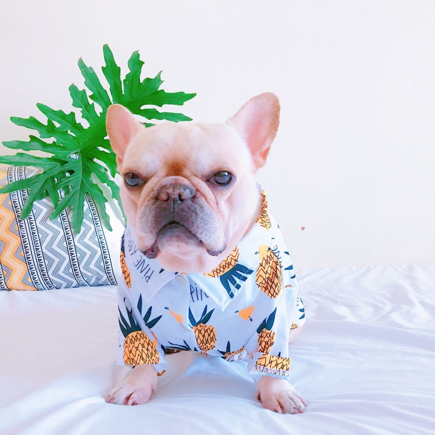 Pineapple Hawaiian Collared Dog Shirts - Frenchiely
