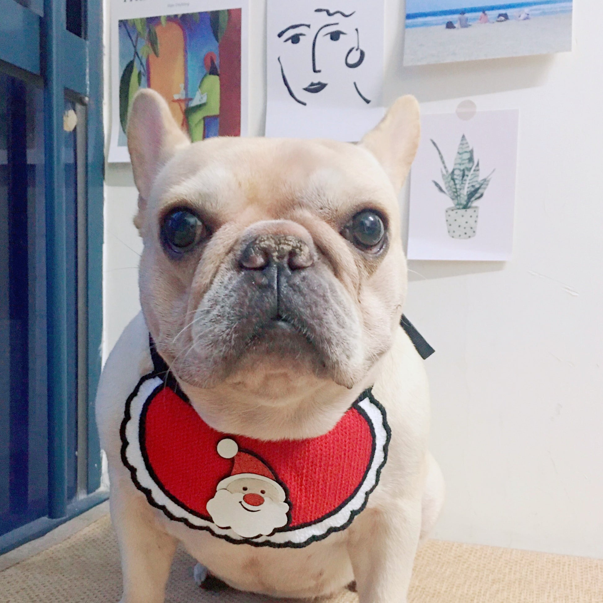 Dog Christmas Santa Clause Bandana for French Bulldog by Frenchiely