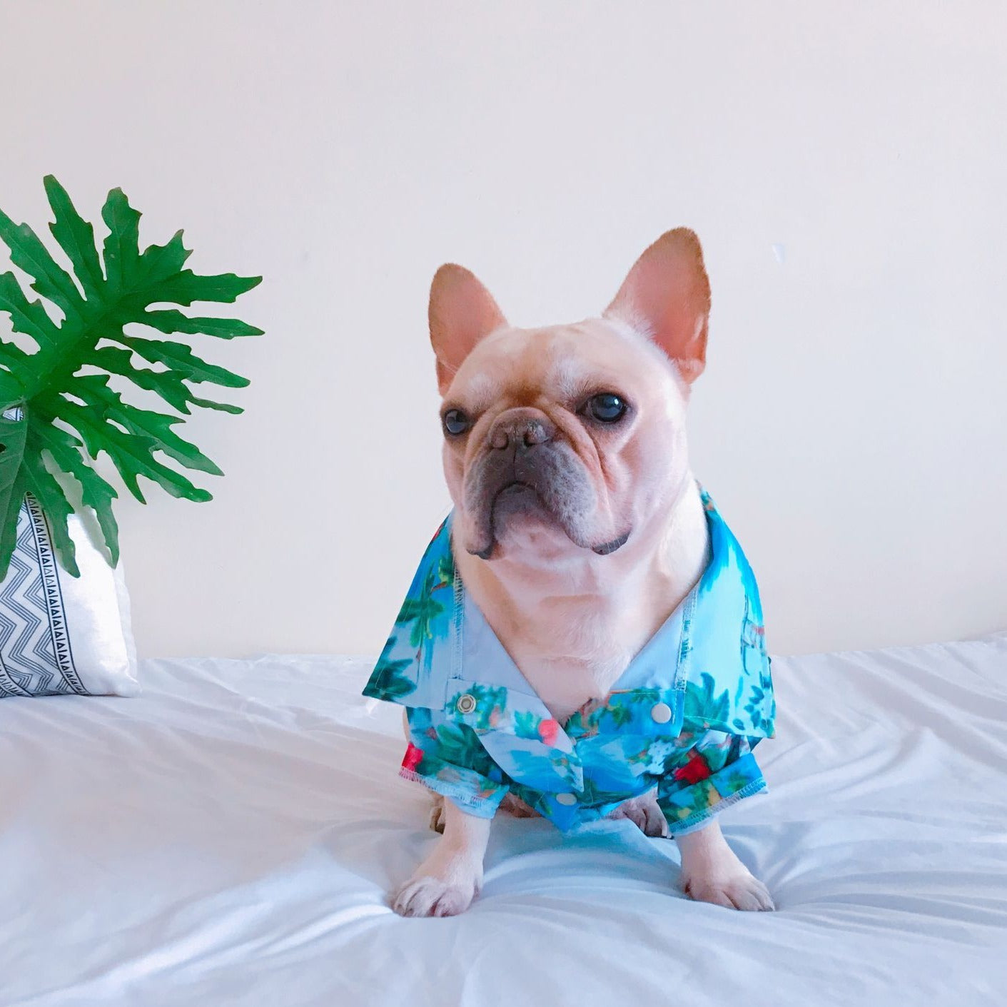 Dog Hawaiian islands Shirt - Frenchiely