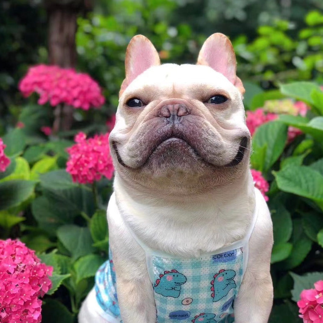 Dog Cartoon Dinosaurs Mesh Shirts - Frenchiely