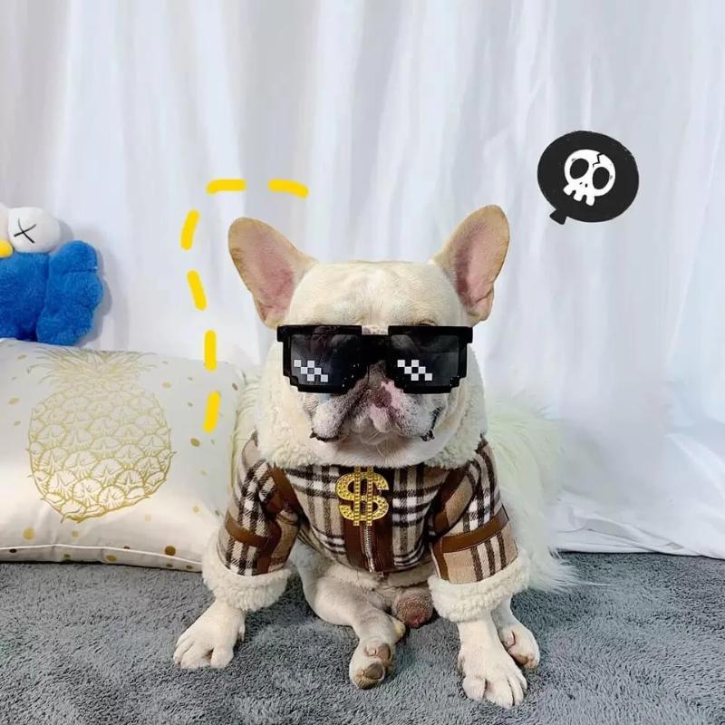 Plaid Dog Winter Jacket Coat with Fur for Frenchies - Frenchiely