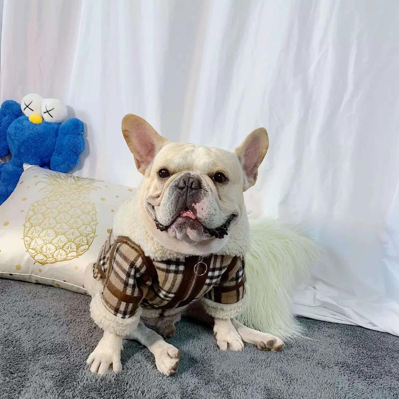 Plaid Dog Winter Jacket with Fur for Frenchies Coat for My Dog