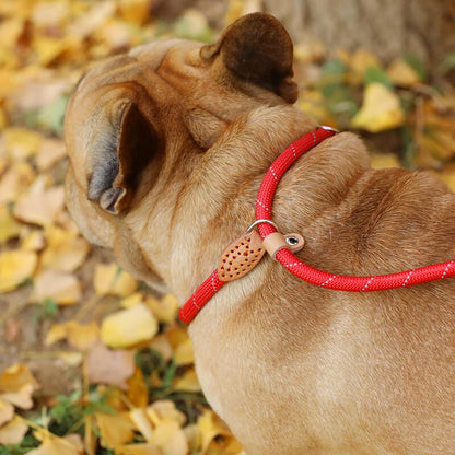 French Bulldog P Chain Leash - Frenchiely