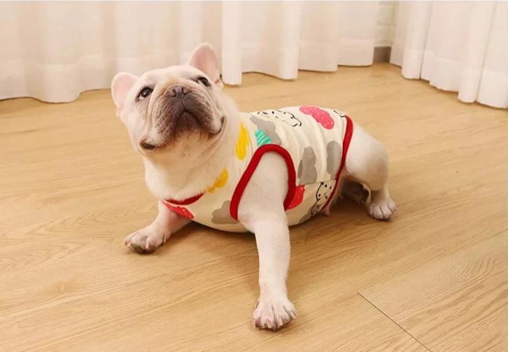 Dog Funny Summer Vest Shirt for French Bully - Frenchiely