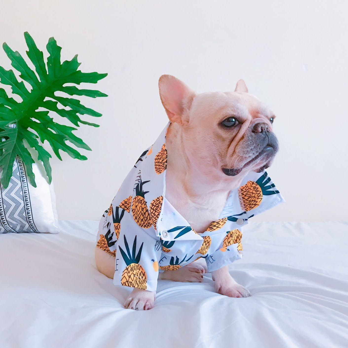 Pineapple Hawaiian Collared Dog Shirts - Frenchiely