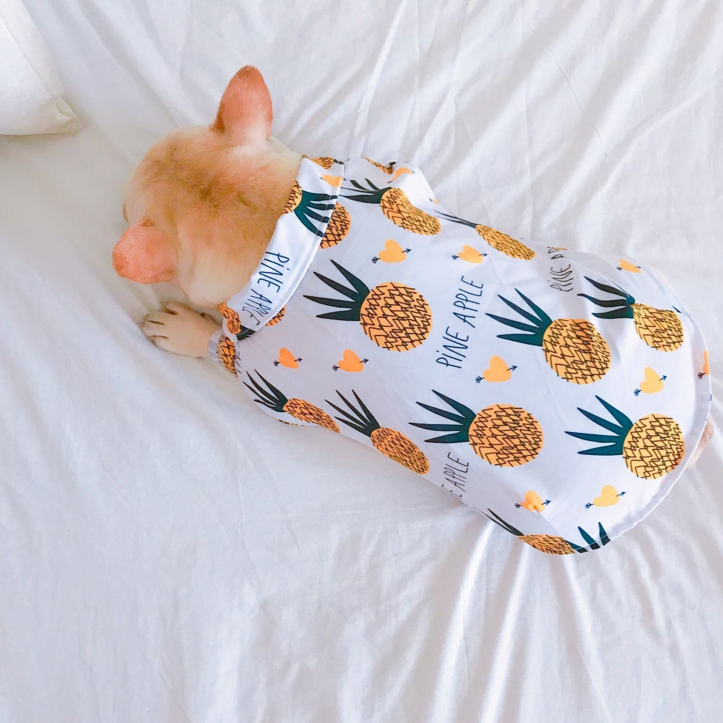 Pineapple Hawaiian Collared Dog Shirts - Frenchiely