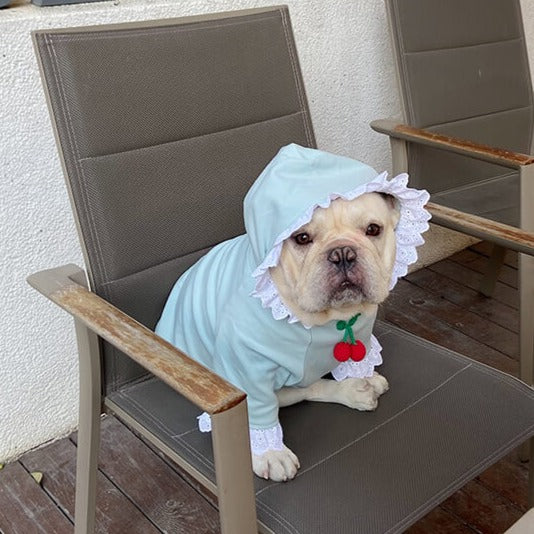 Dog Strawberry Hoodie for French Bulldogs by Frenchiely 01