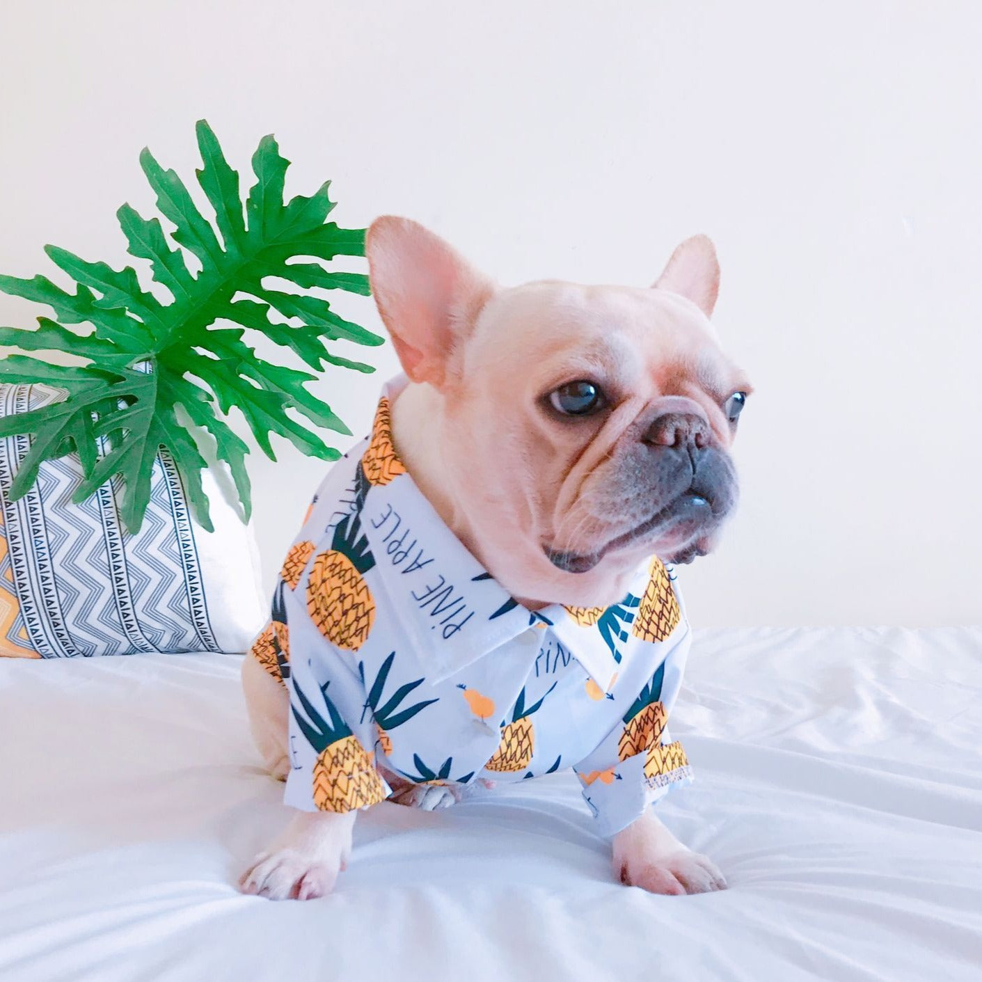 Pineapple Hawaiian Collared Dog Shirts - Frenchiely