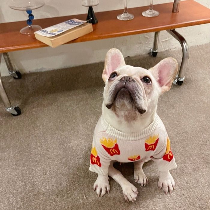 Dog Mc Donald's Sweater