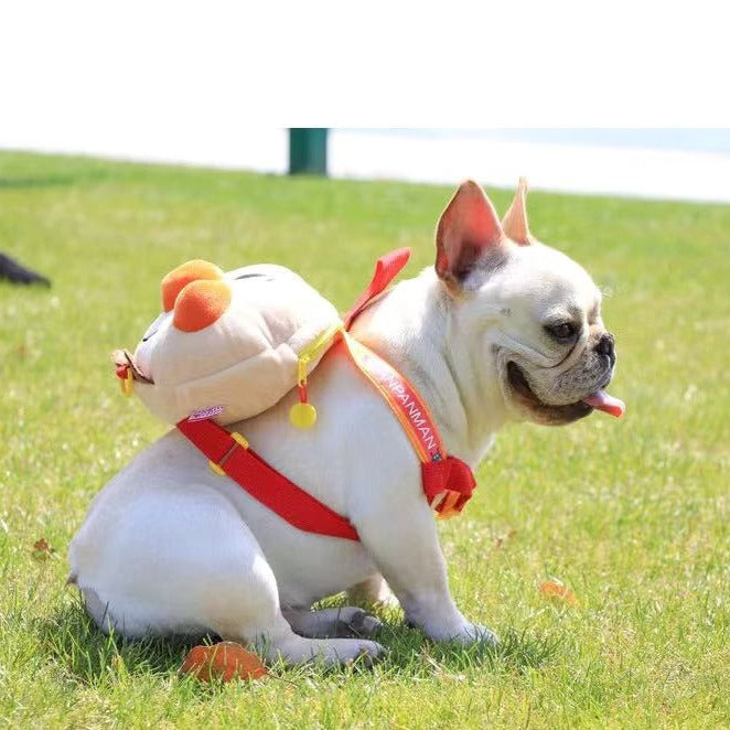 Dog Pet Travel Self Backpack with Leash - Frenchiely
