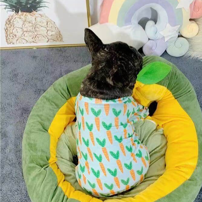 Frenchiely Dog Carrot Pajamas Onesie for Frenchies 0