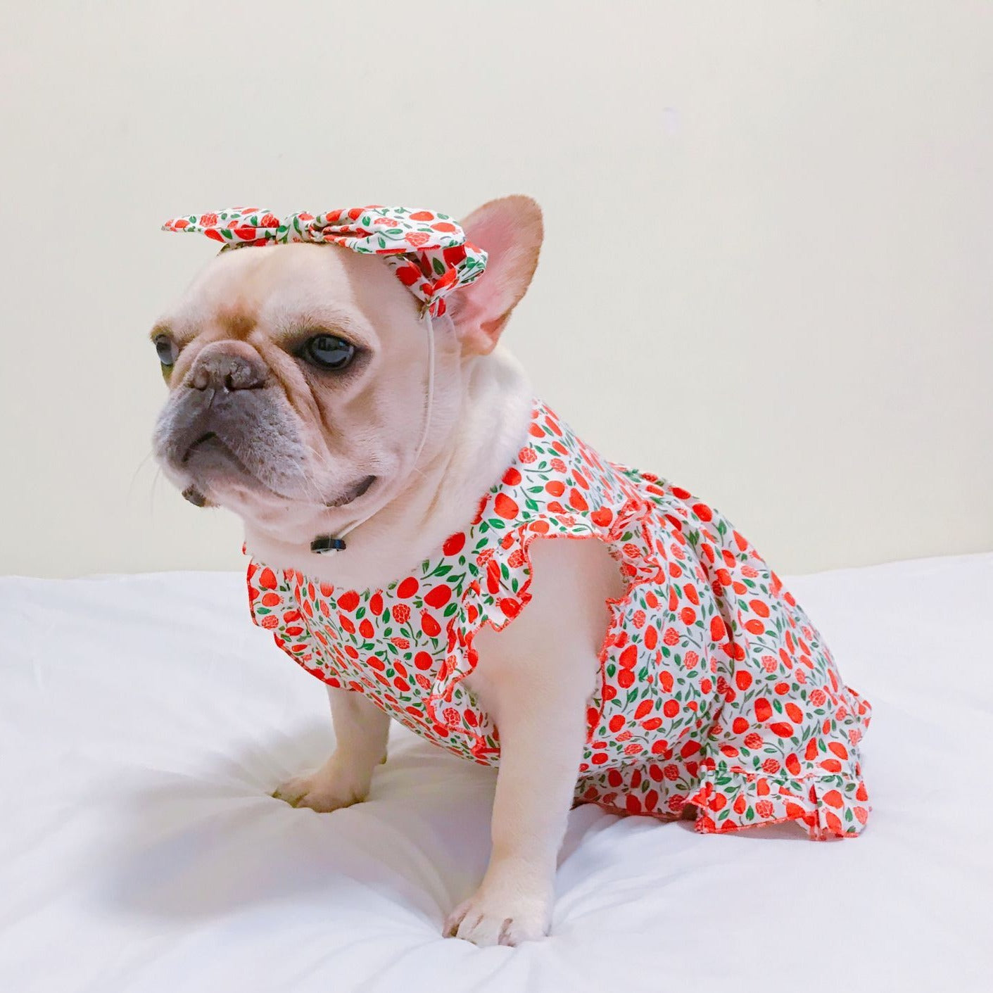 dog retro strawberry dress with headband - Frenchiely