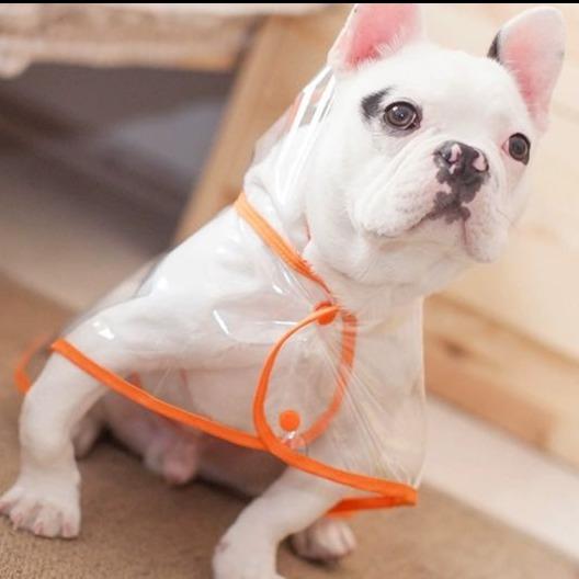 Clear Rain Coat Jackets for Medium Dogs - Frenchiely