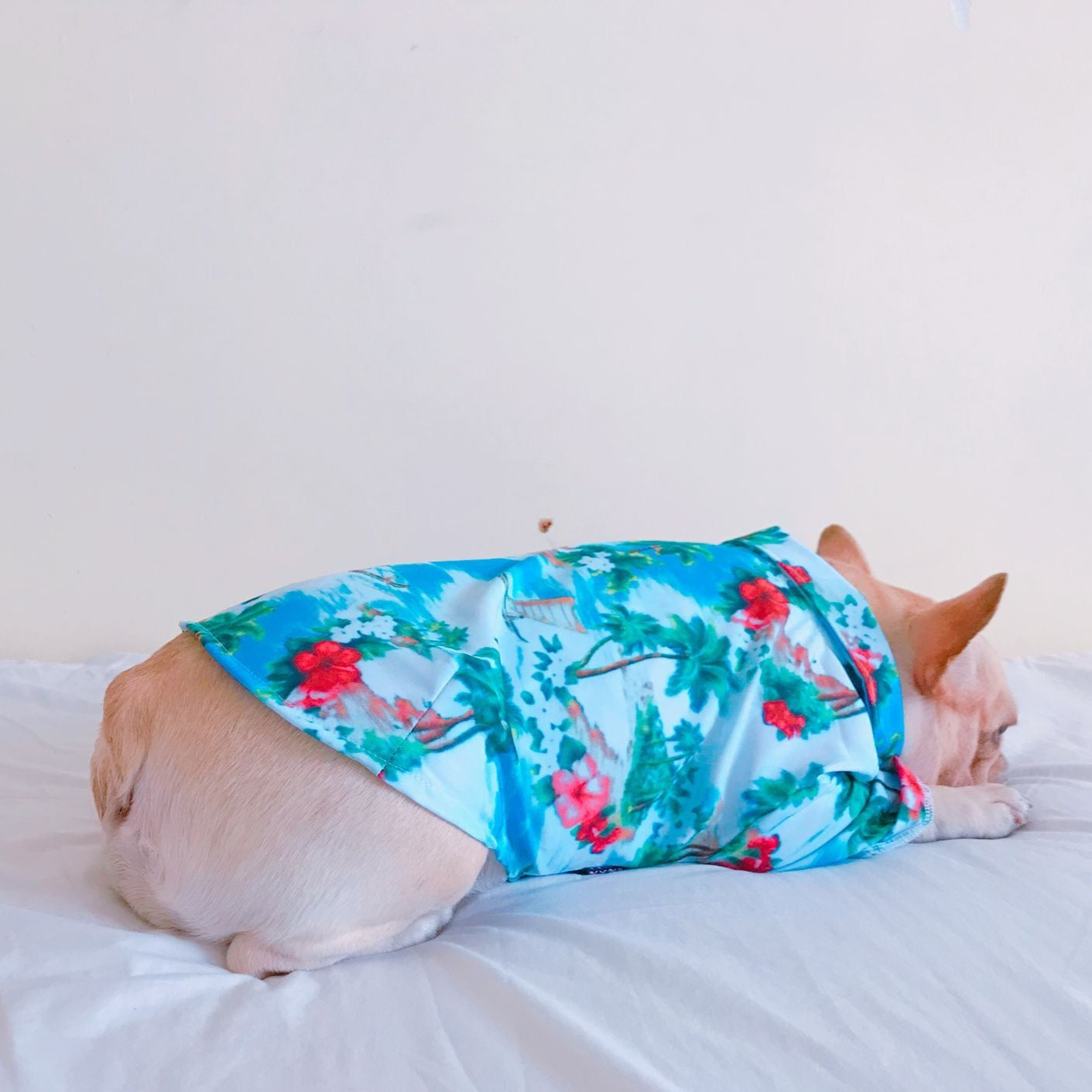Dog Hawaiian islands Shirt - Frenchiely