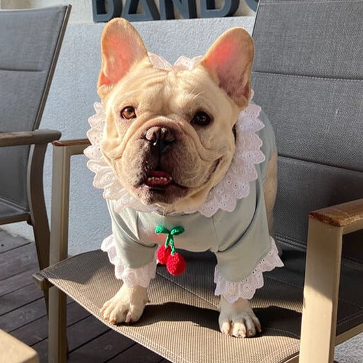 Dog Strawberry Hoodie for French Bulldogs by Frenchiely 01