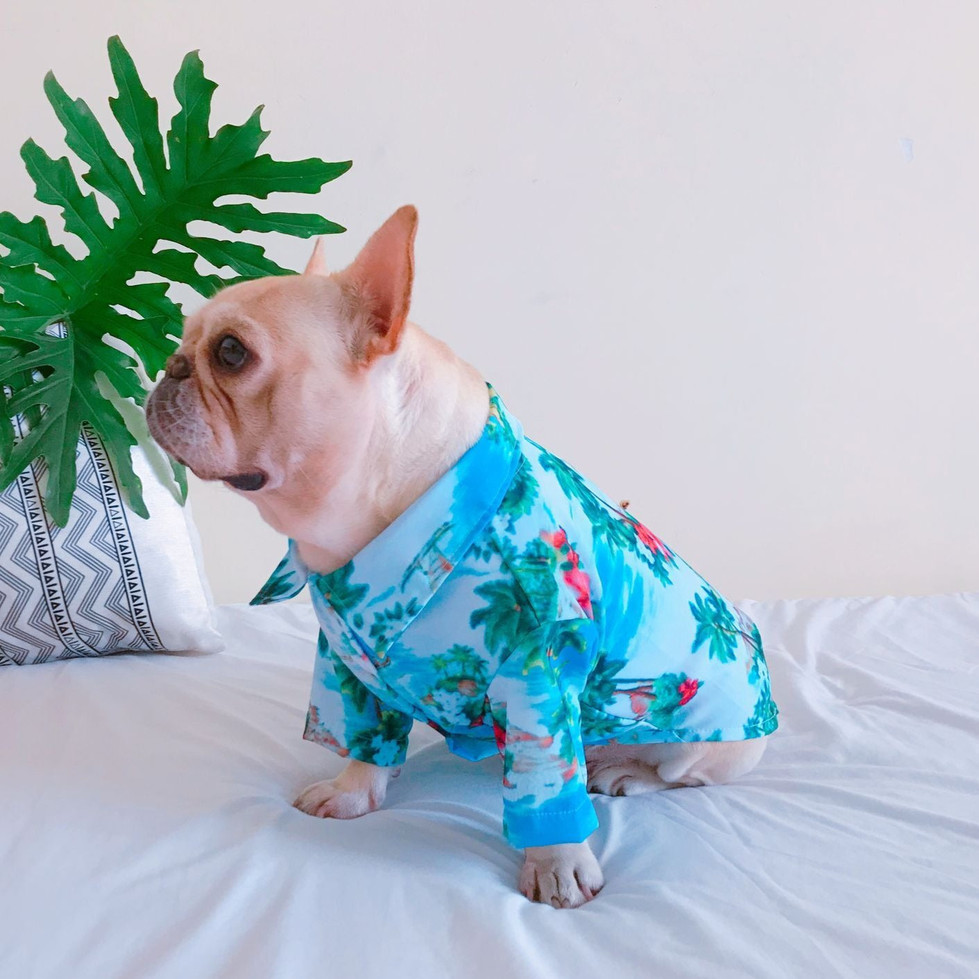 Dog Hawaiian islands Shirt - Frenchiely