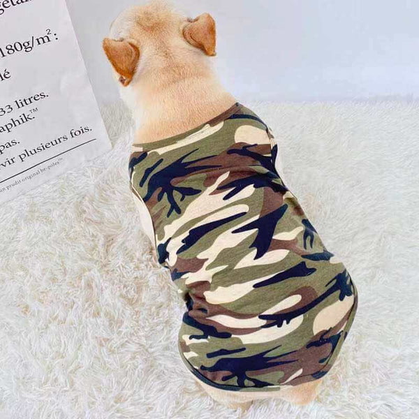 Affordable Dog Shirt