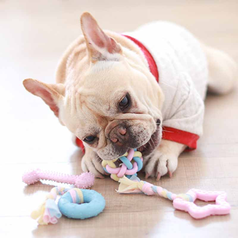 Puppy Frenchie Chewing Rope Toy Duck  Medium Dogs Chewing Toys – Frenchiely