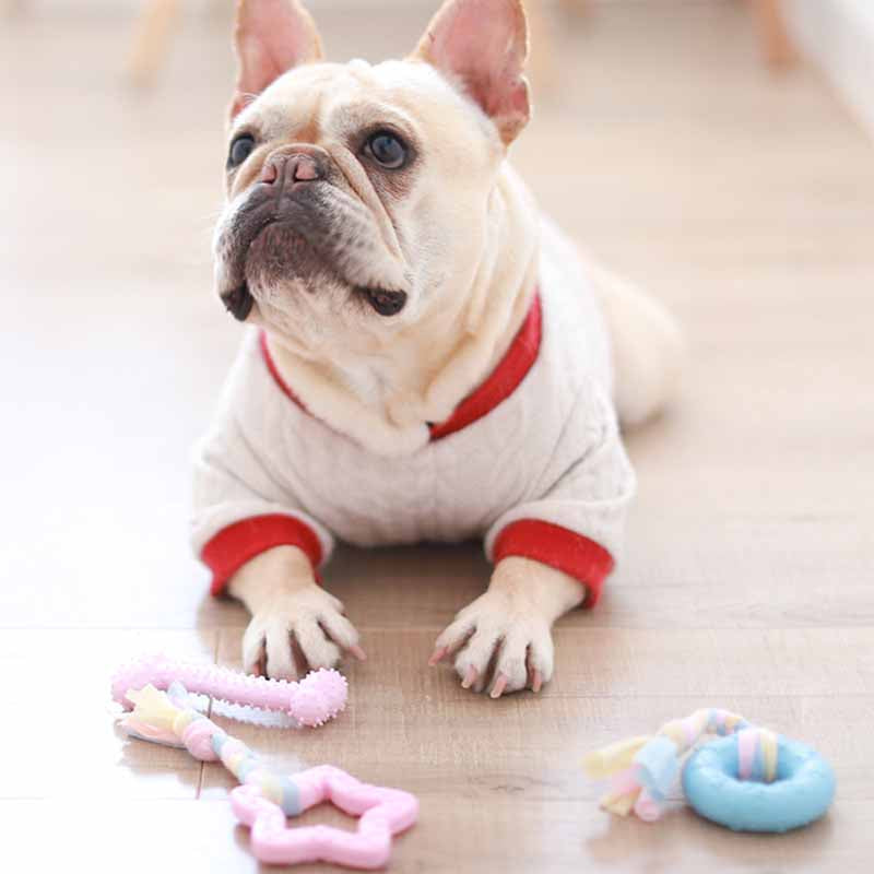 Cartoon Donut Dog Chewing Toy - Frenchiely